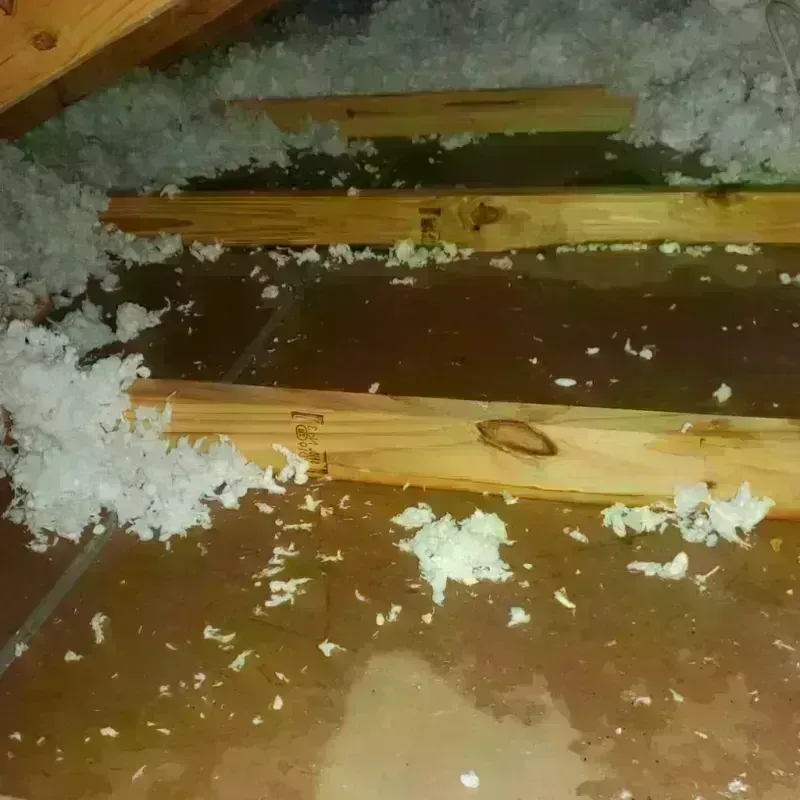 Attic Water Damage in Martin County, KY